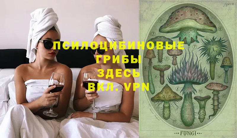 Галлюциногенные грибы Psilocybe  где можно купить   Курган 